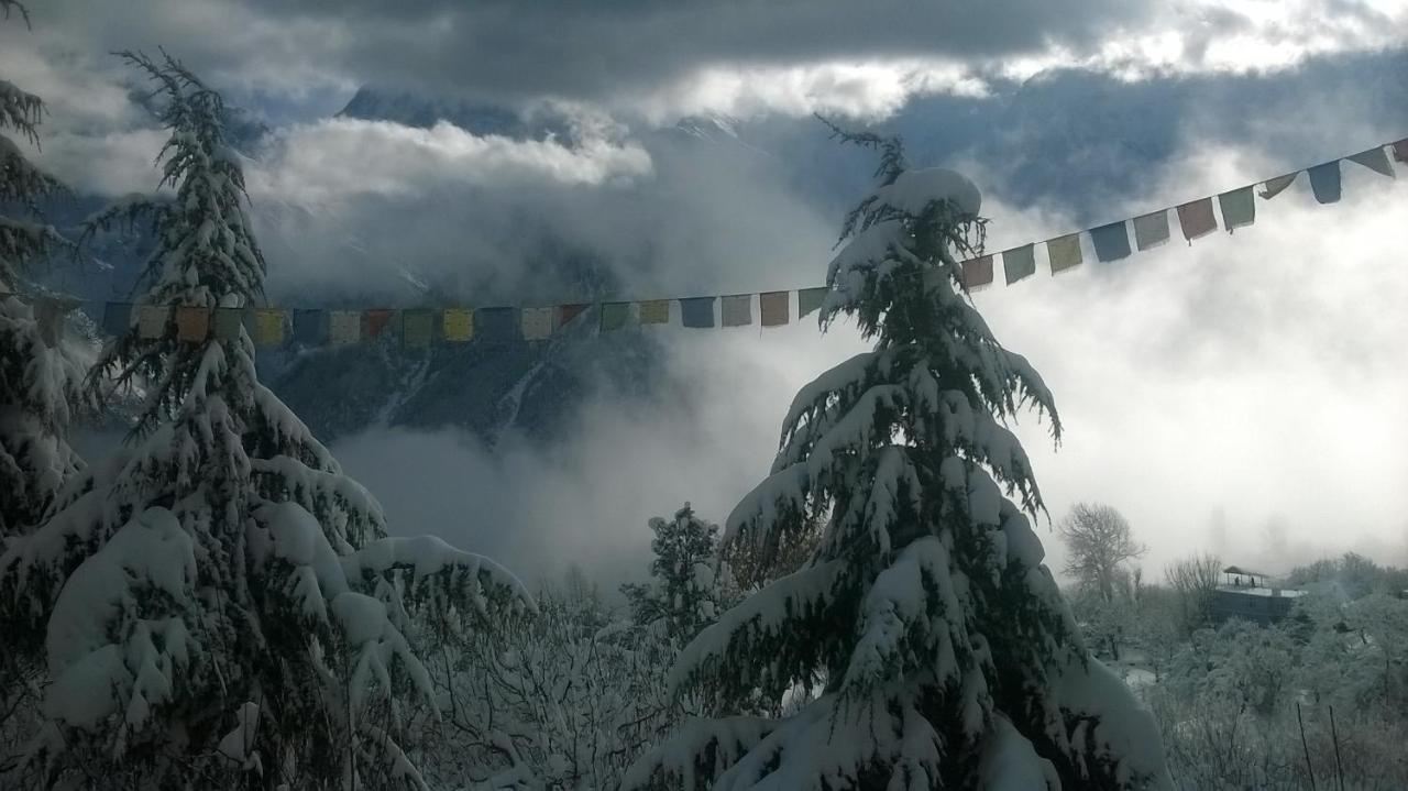 Farmvilla Homestay Kalpa Exterior photo